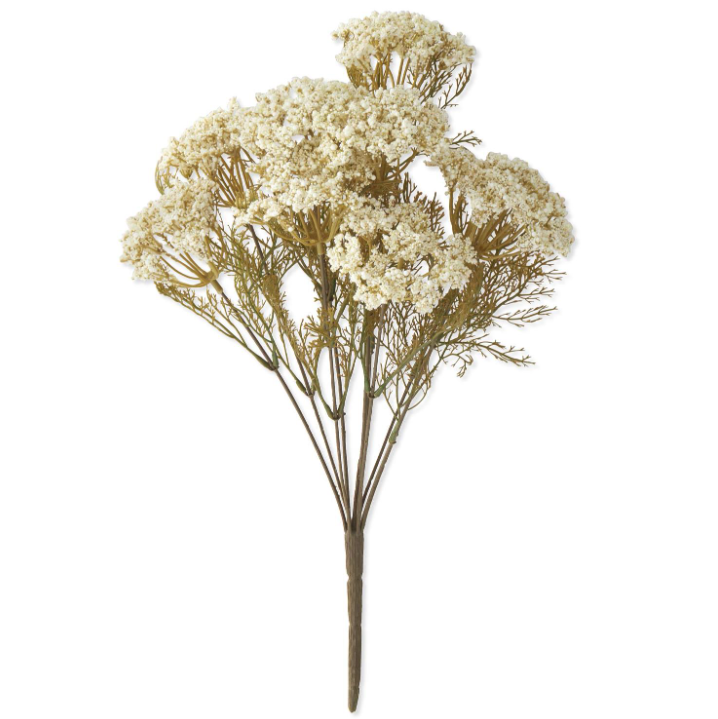White Queen Anne Lace Bush