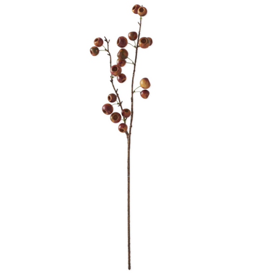 BR/OR Pod Stem