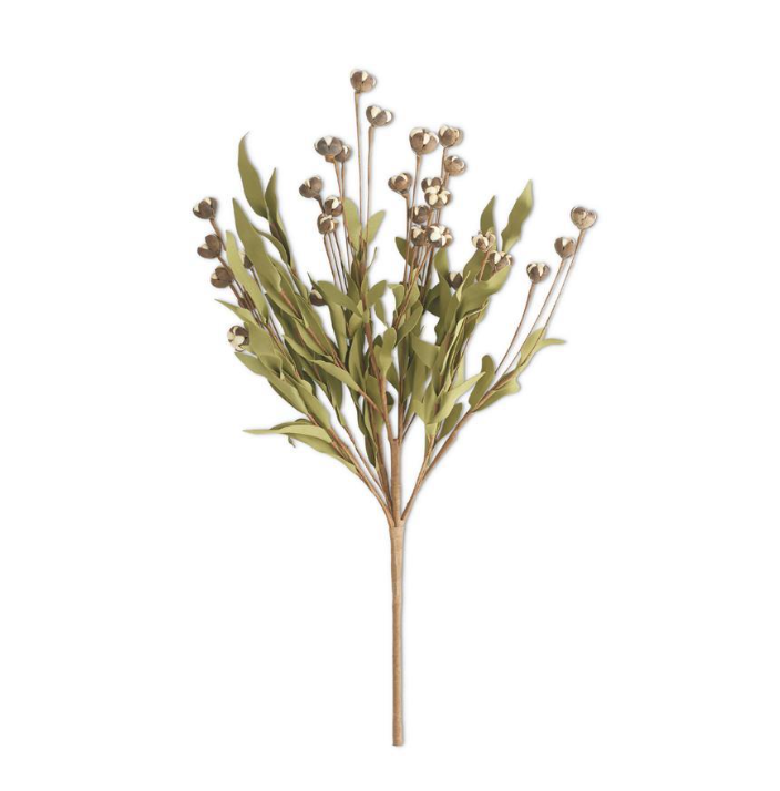 Cream Eva Bud Bush