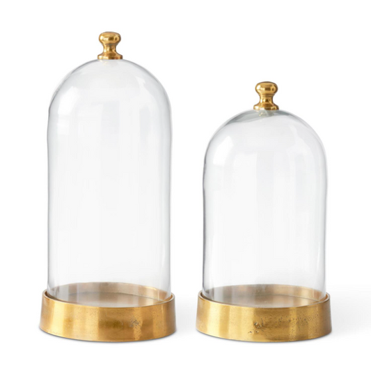 Gold + Glass Cloche - L