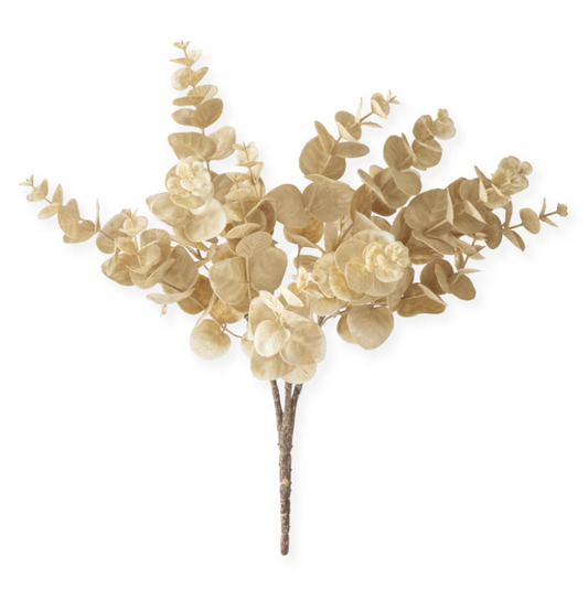 Cream Eucalyptus Bush