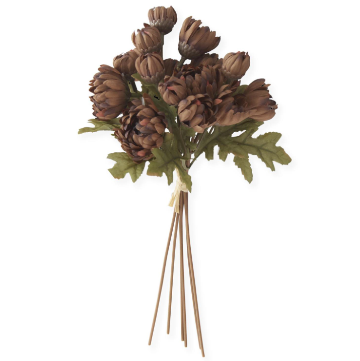 Brown Dahlia Bundle