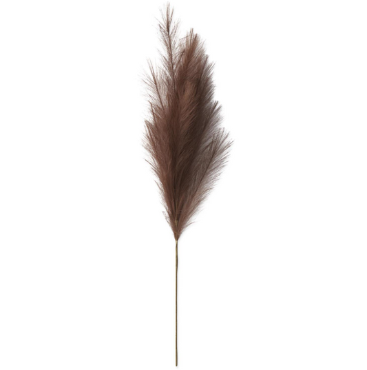 Dark Brown Pampas Grass Stem