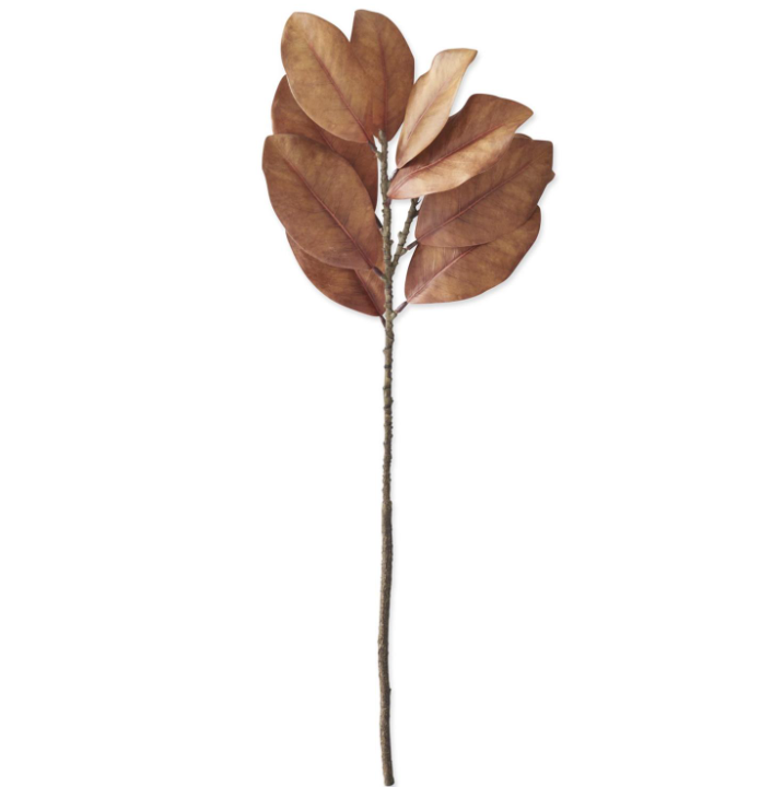 Dark Golden Yellow Magnolia Branch