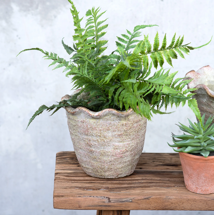 Ruffle Edge Planter