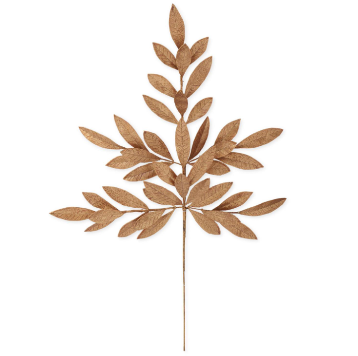 GLD/OR Magnolia Leaf Stem