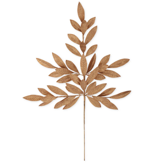 GLD/OR Magnolia Leaf Stem