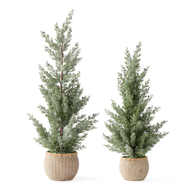 Frosted Juniper Tree in Pot - S