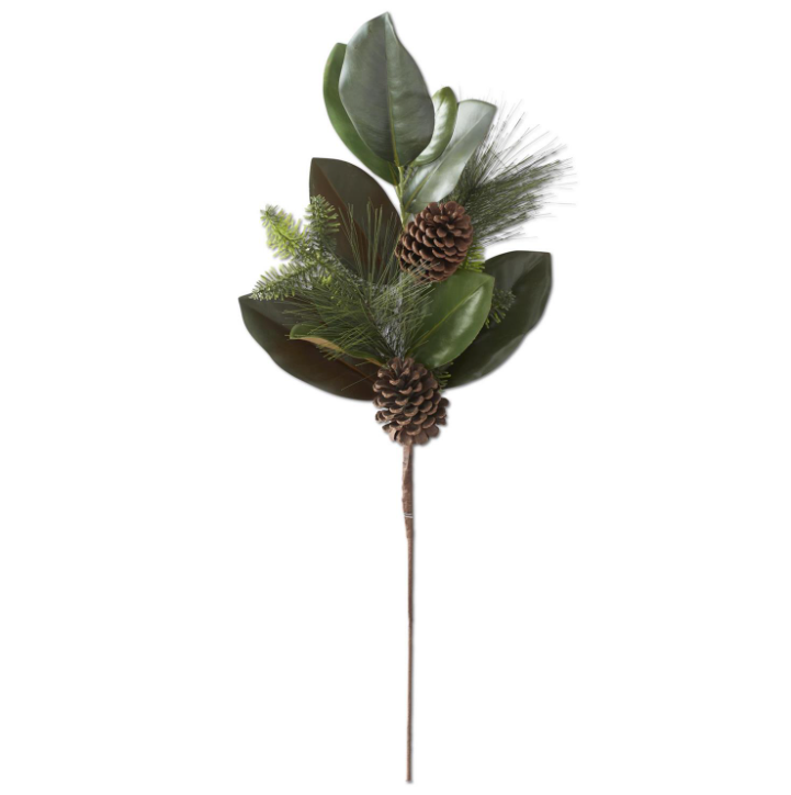 Mixed Pine Magnolia & Pinecone Stem