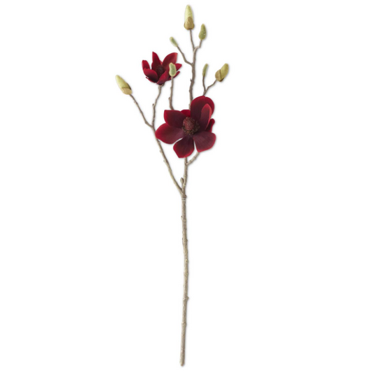 Red Velvet Magnolia Blossom Stem