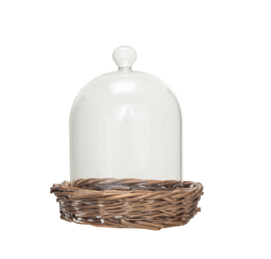 Glass Cloche w/ Willow Base