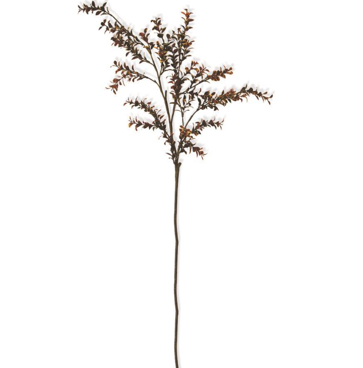 Burgundy Boxwood Spray