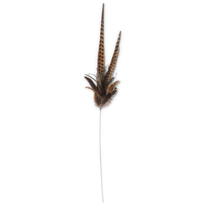 Pheasant Feather Spray