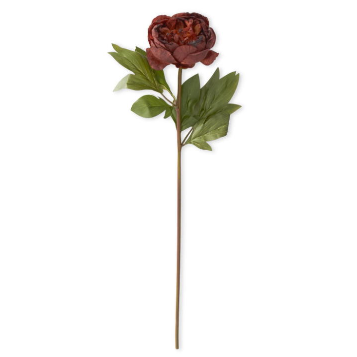 Rust Faux Dried Peony Stem