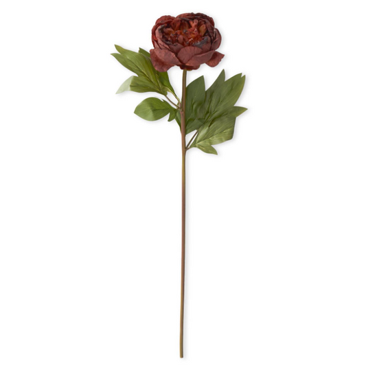 Rust Faux Dried Peony Stem