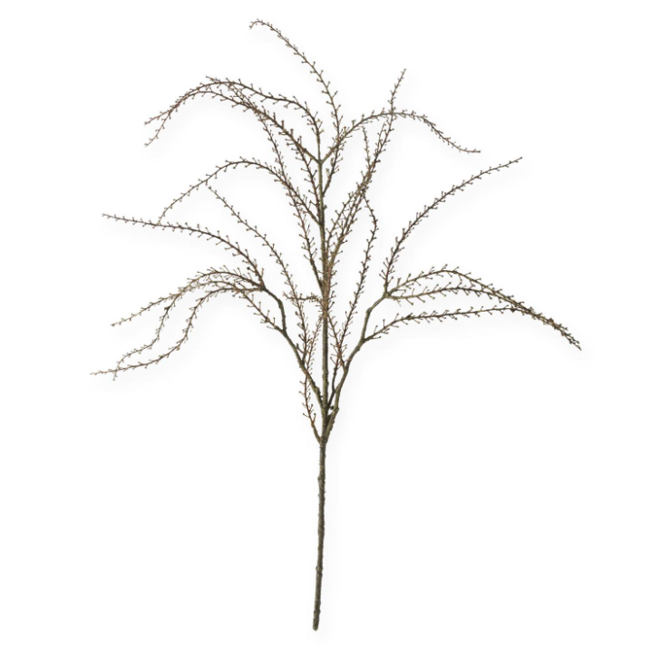 Twig Branch