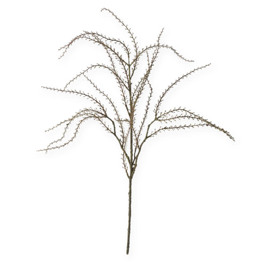 Twig Branch