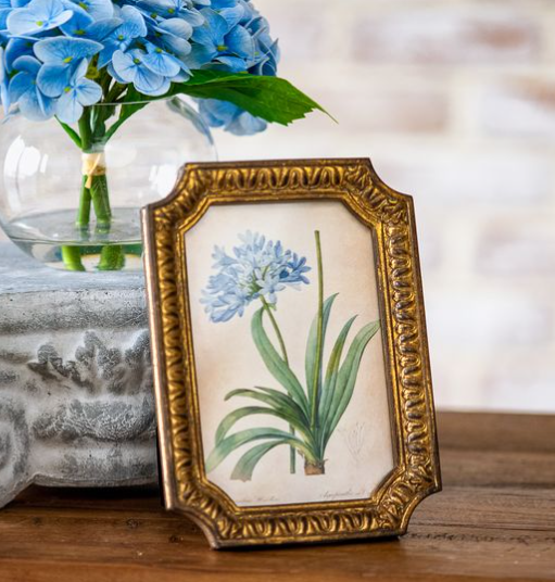 4x6 Antiqued Gold Frame