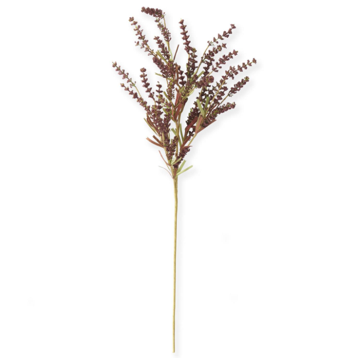 Burgundy Seed Berry Stem