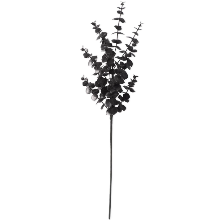 Black Eucalyptus Stem