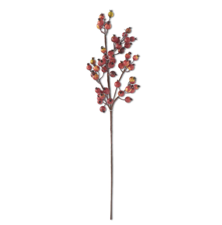 Crab Apple Stem