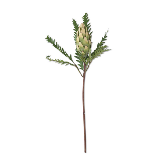 Yellow & Green Protea Stem