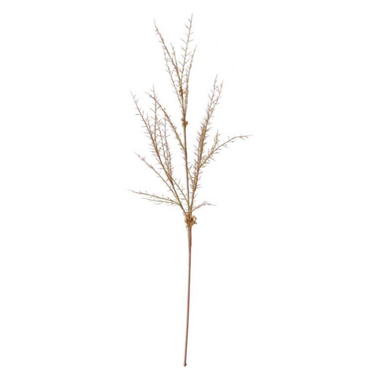 Green & Brown Mossy Twig Branch