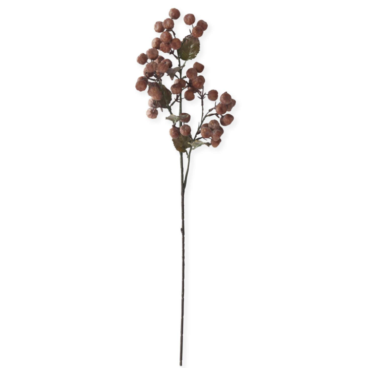 Brown Pod Stem