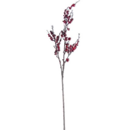Burgundy Berry Branch