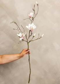 Magnolia Stem - Real touch