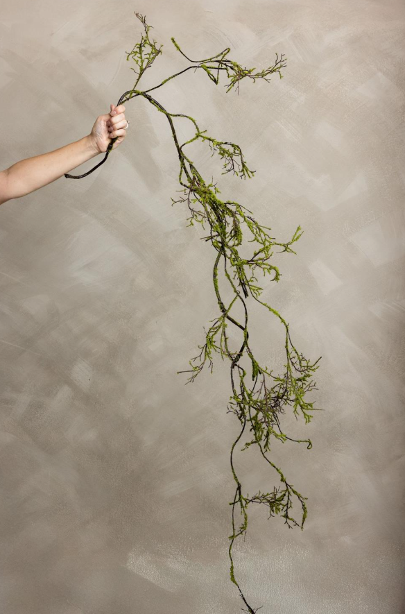 Mossy Twig Vine/Garland
