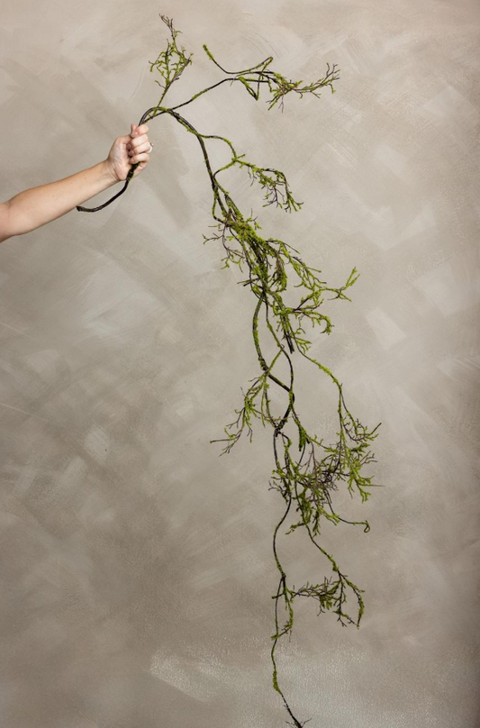 Mossy Twig Vine/Garland