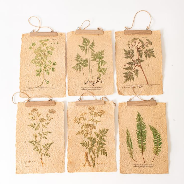 Ferns On Distressed Paper - 6 STYLES