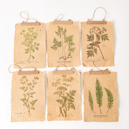 Ferns On Distressed Paper - 6 STYLES