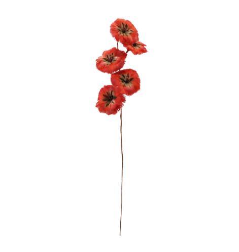 Coral Feather Flower Stem