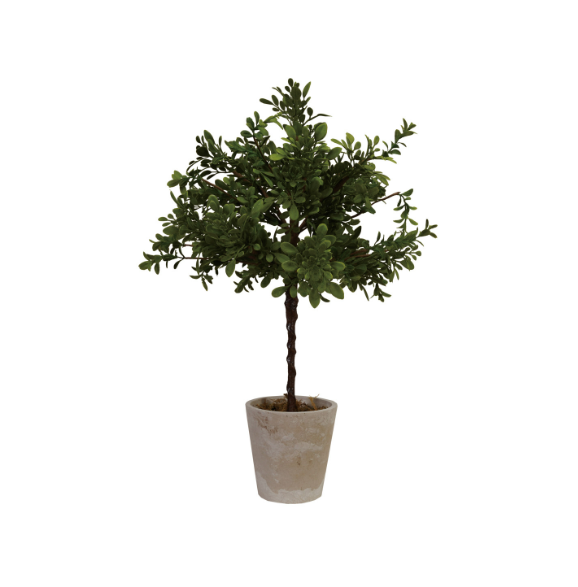 20" Faux Boxwood in Paper Pot