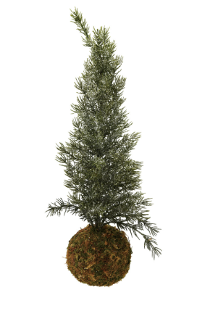 Faux Fir Tree with Moss Ball Base - M
