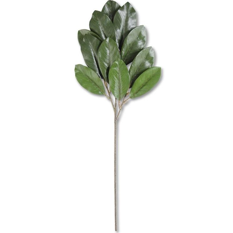 33 Inch Green Magnolia Spray