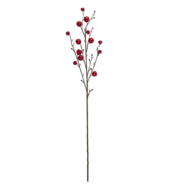 41 Inch Red Pod Stem