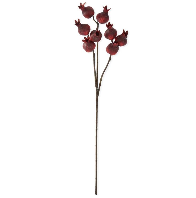 Burgundy Pomegranate Stem