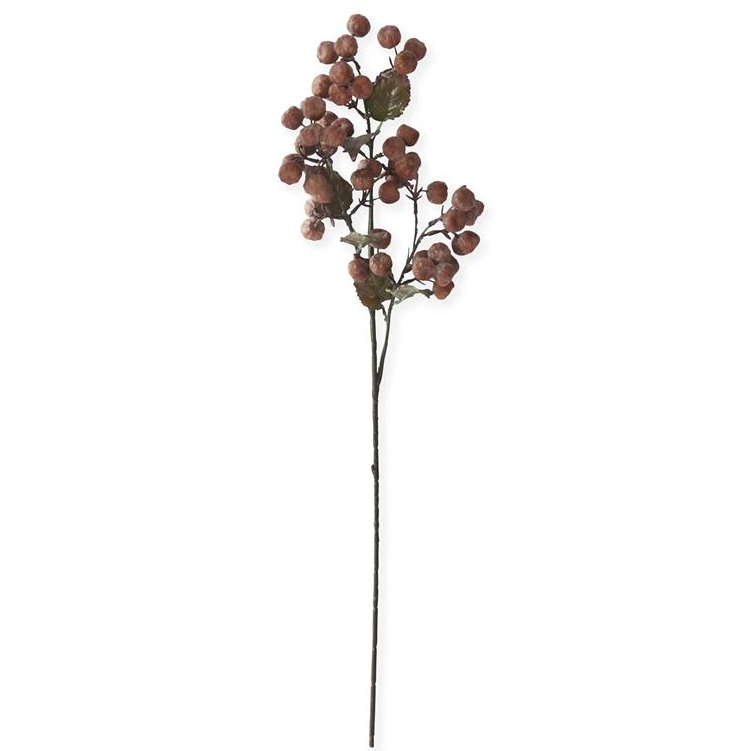 Brown Pod Stem