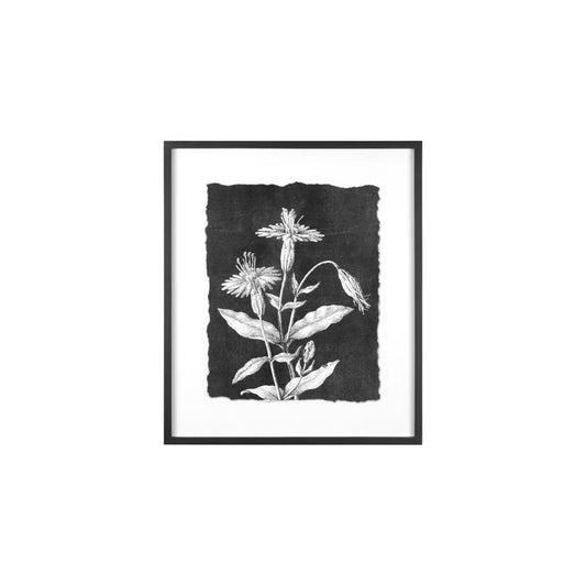 BOTANICAL WALL DECOR