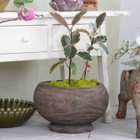 Paulownia Wood Bowl/Planter