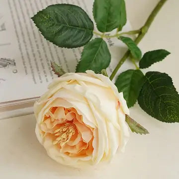 17"Premium Real Touch English Austin Cabbage Rose Stem-Light Champagne