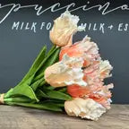 14"-1 Dozen-Real Touch Parrot Mini Tulip Peach Bellin